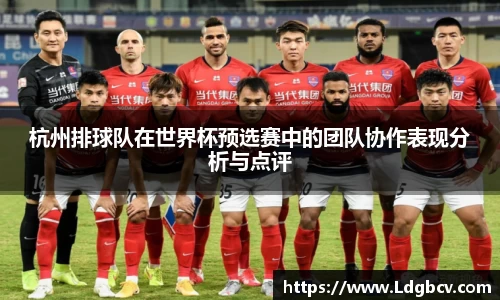 杭州排球队在世界杯预选赛中的团队协作表现分析与点评